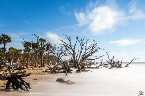 Boneyard Beach