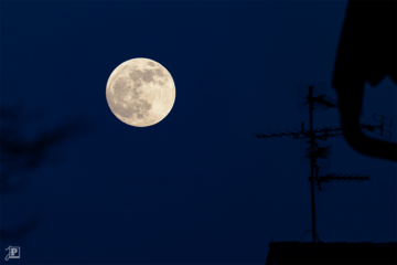 Vollmond am Abend vor der Finsternis