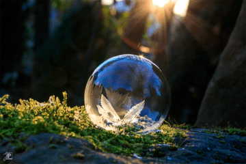 Freezing soap bubble on moss