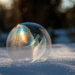 Frozen soap bubble on snow