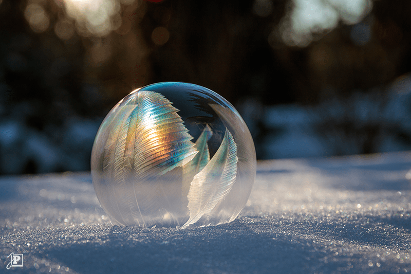 Frozen soap bubble on snow