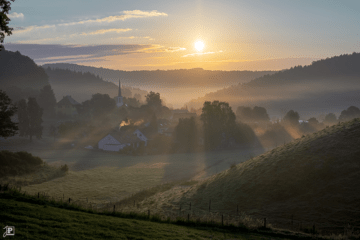 Morgenstimmung: Im Gegenlicht der aufgehenden Sonne werfen Bäume und Häuser ihre Schatten in den Nebel