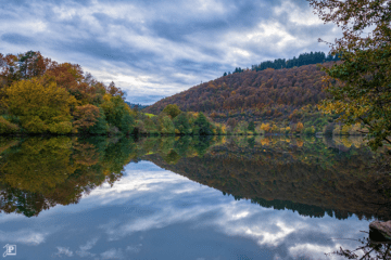 Spiegelung am Neckar