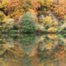 Colorful autumn forest reflected in the water