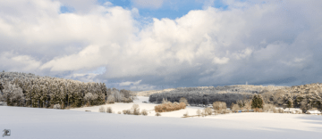 Winter landscape