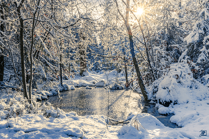 Fairy pond in a winter forest