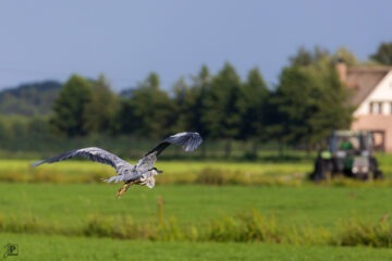 Mensch und Natur