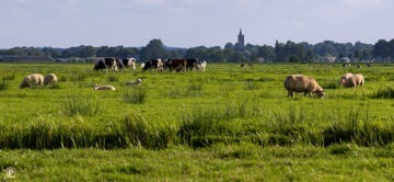 Nature Reserve