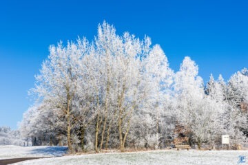 Winter-Spaziergang