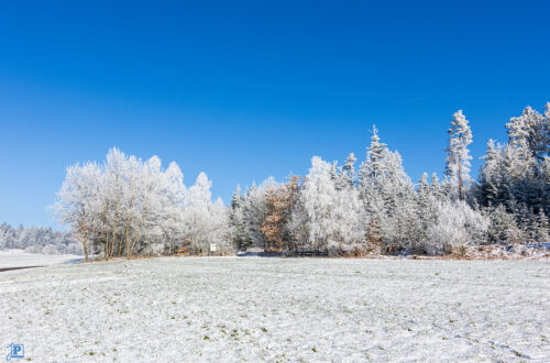 Winter-Spaziergang