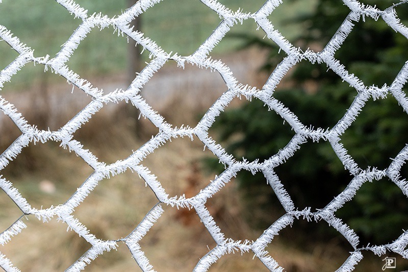 Frozen Fence