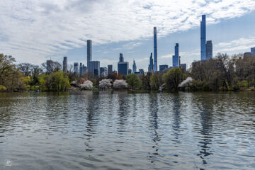 Central Park