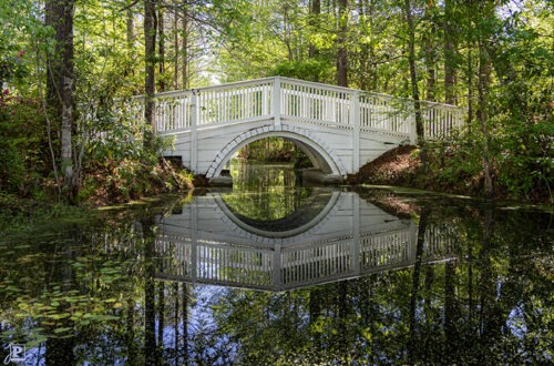 White Bridge spans a swamp
