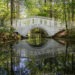 White Bridge spans a swamp