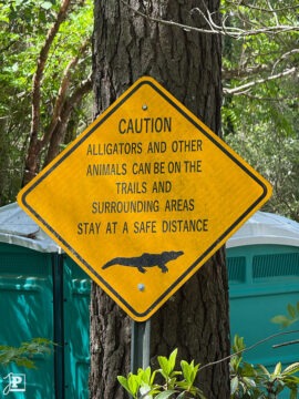 Caution sign alerting to alligators and other wildlife