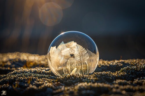 Freezing Soap Bubble