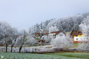 A village in the winter with snow-covered trees