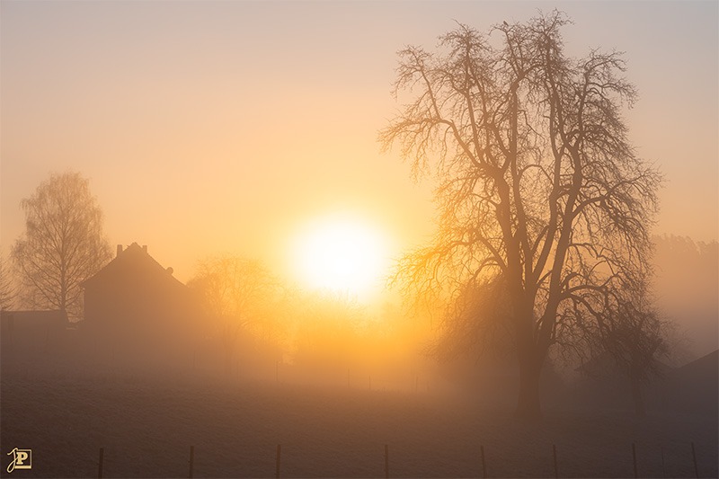 Sunrise in the Fog