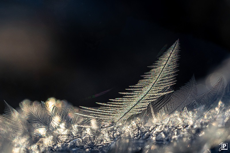 Close-up of an ice crystal