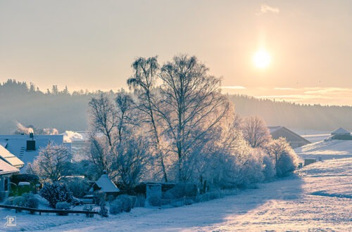 Winterly sunrise