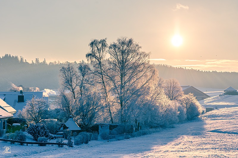 Winterly sunrise